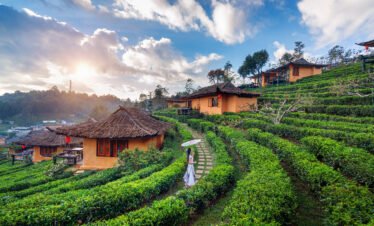 Ooty Special