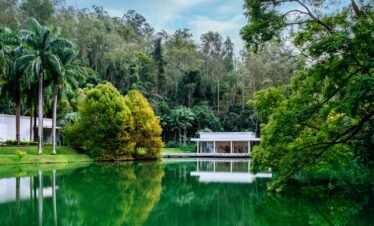 Kerala Honeymoon Special